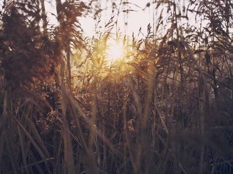 Revolutionizing Education with Generative AI