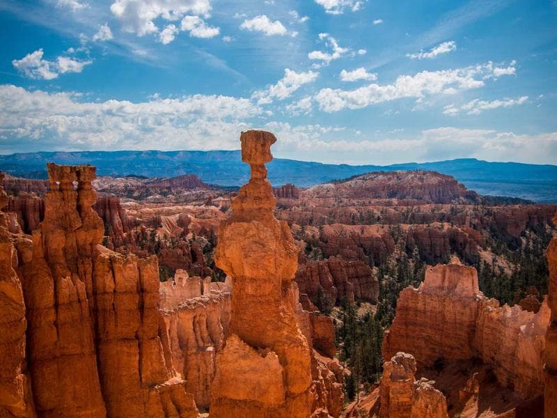 Freelancer vs Agency: What's Best for Moradabad Businesses?