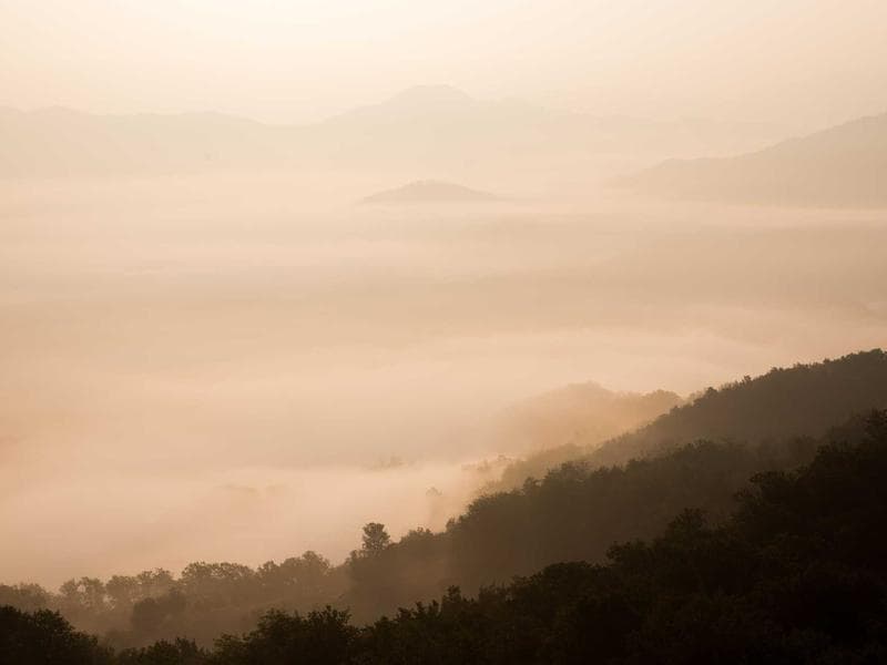 Smart Gym Management Software in Moradabad