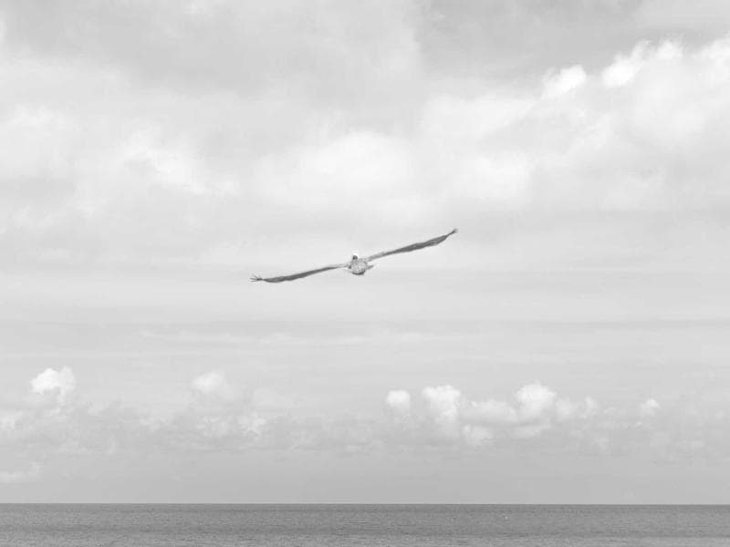 Jewellery Shop Management Software in Moradabad