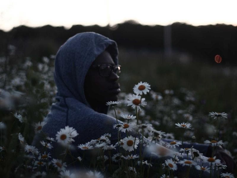 Best MERN Stack Training Course in Moradabad