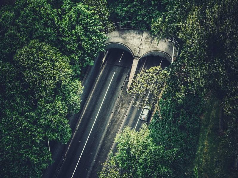 Learn Python in Moradabad: The Language of Future