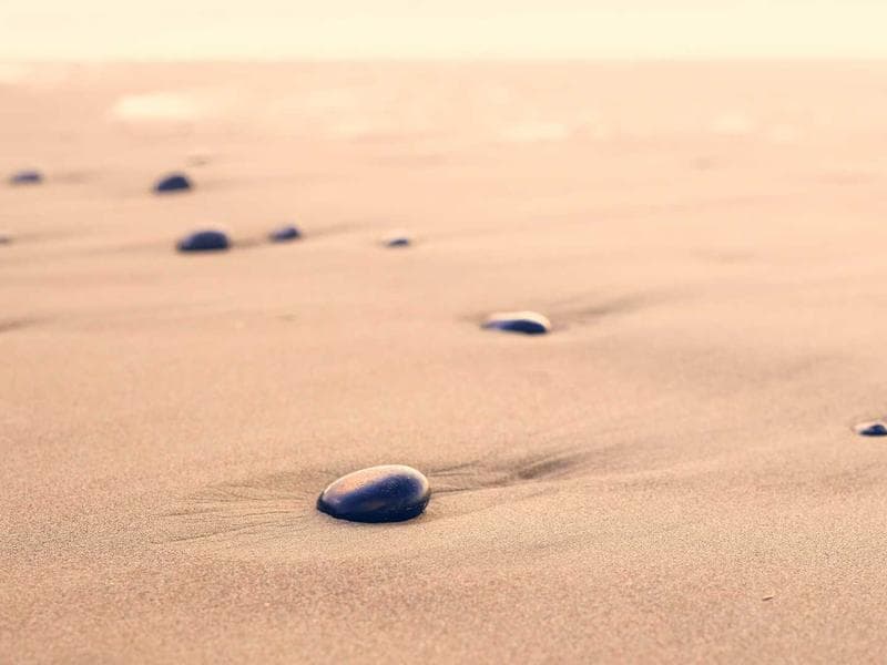 Cybersecurity in 2025: Protecting the Digital Frontier