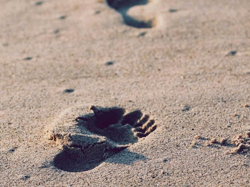 How Startups in Moradabad Can Scale with Technology